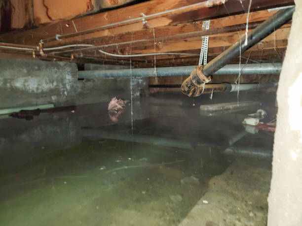 Best Water damage restoration near me  in South Valley, NM