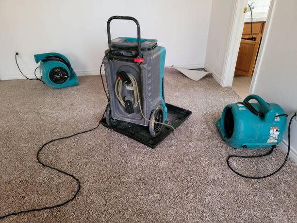 Best Local water damage restoration  in South Valley, NM