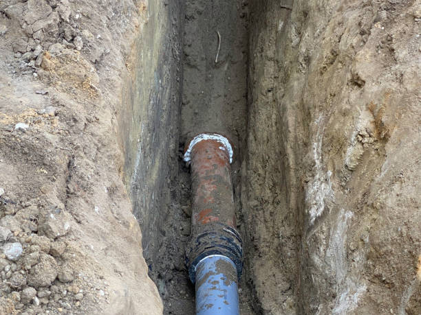 Best Flood restoration services  in South Valley, NM