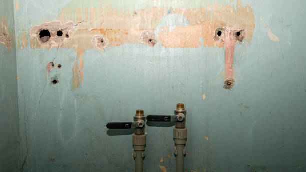 Best Mold removal after water damage  in South Valley, NM