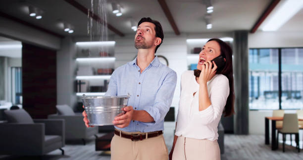 Best 24/7 water damage repair  in South Valley, NM